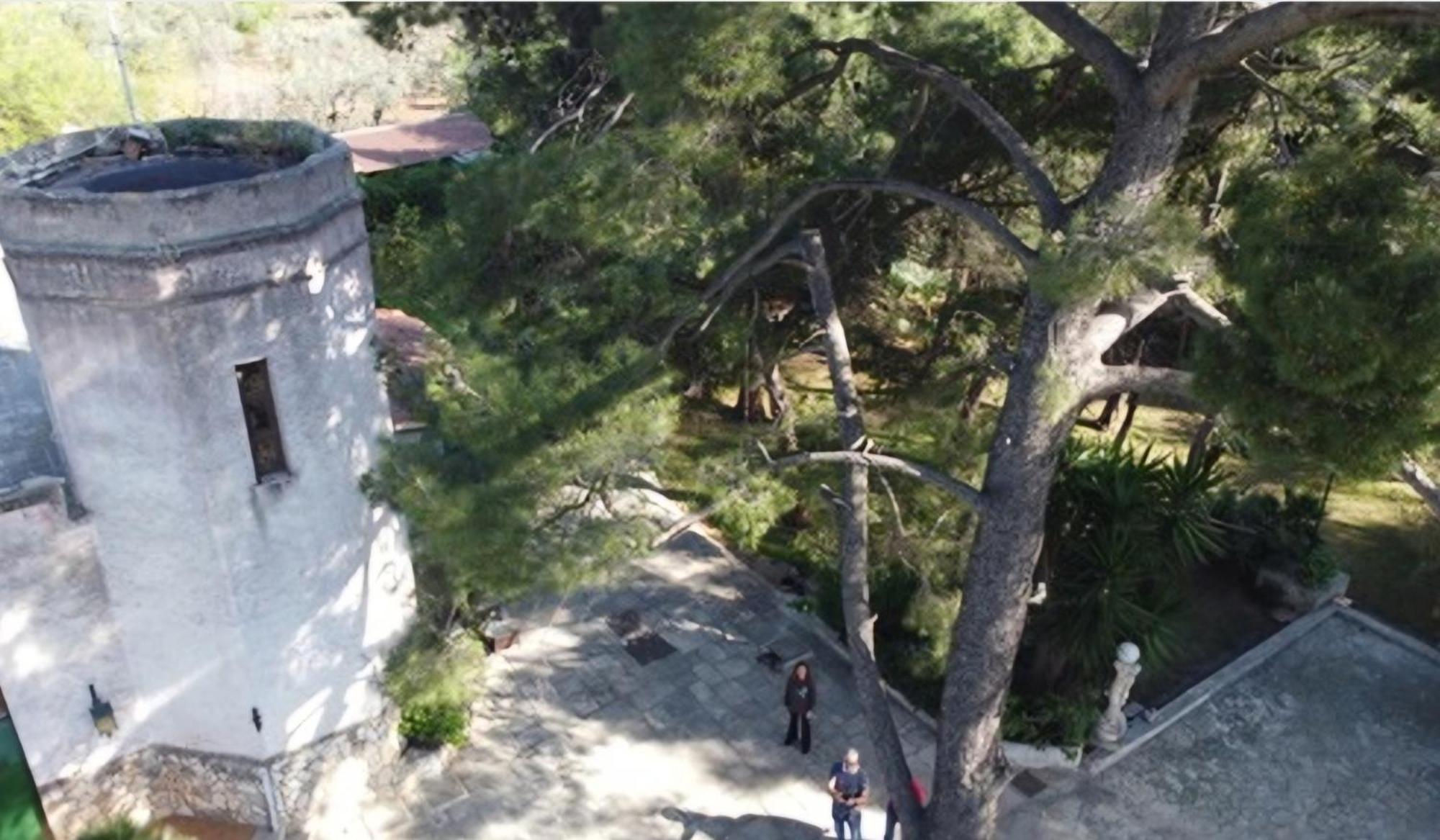 Torre Del Sole Villa Bari Eksteriør billede
